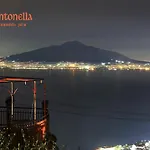 Antonella 소렌토